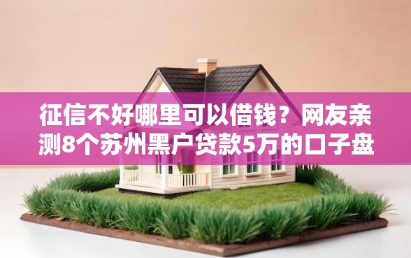 征信不好哪里可以借钱？网友亲测8个苏州黑户贷款5万的口子盘点