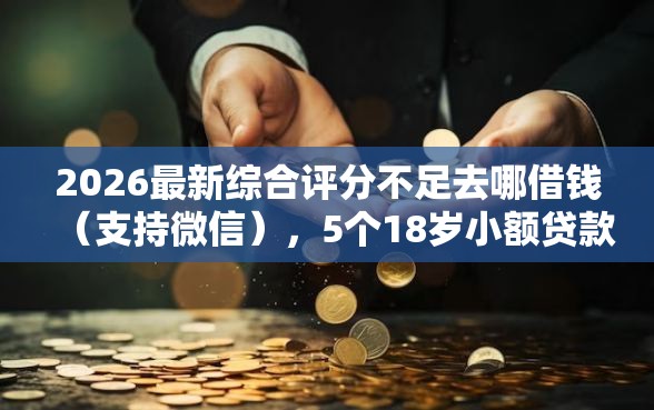 2026最新综合评分不足去哪借钱（支持微信），5个18岁小额贷款平台无私分享