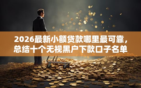 2026最新小额贷款哪里最可靠，总结十个无视黑户下款口子名单大全！