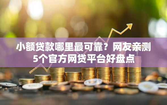 小额贷款哪里最可靠？网友亲测5个官方网贷平台好盘点