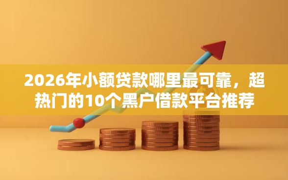 2026年小额贷款哪里最可靠，超热门的10个黑户借款平台推荐
