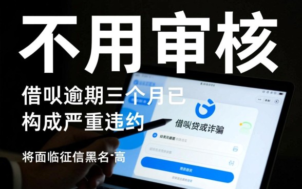 哪里可以快速借钱不用审核