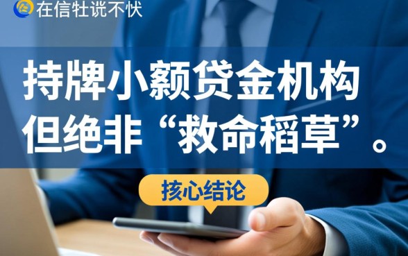 征信黑持牌小额贷款机构怎么样