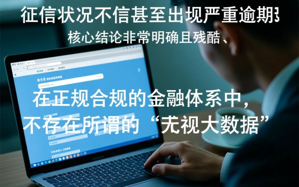 征信黑有没有无视大数据的平台