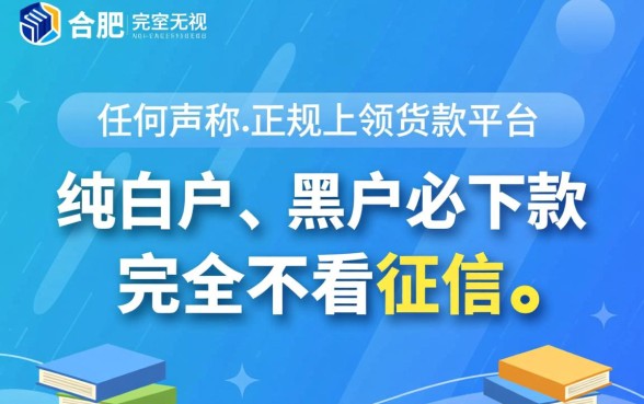 合肥不看征信小额贷款平台有哪些