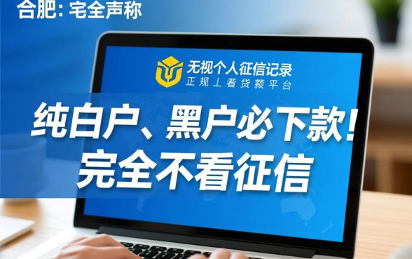 合肥不看征信小额贷款平台有哪些