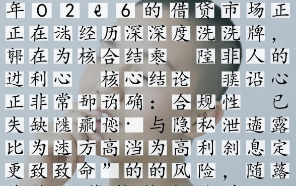 2026下款的货款平台有哪些风险需要注意