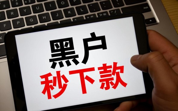 2026年黑户口子有哪些系列