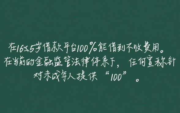 16岁借钱的平台100