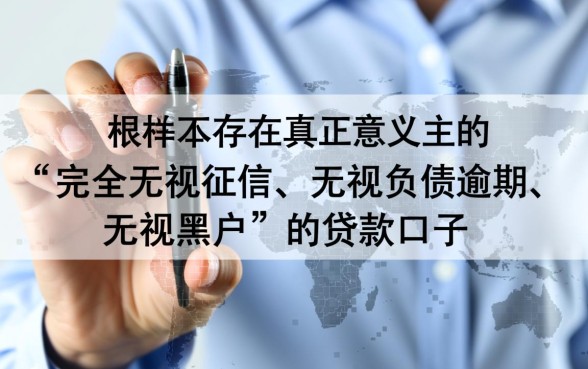 哪里有无视负债逾期的口子