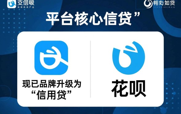 最新能下款的口子支付宝是哪个公司开发的