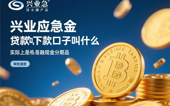 类似兴业应急金的贷款好下款的口子叫什么
