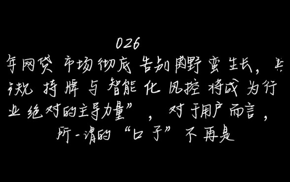 2026年好下款的网贷口子有老哥知道么