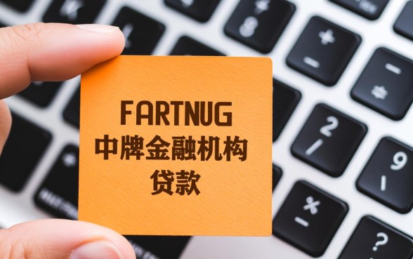 中原消费金融下款了还有什么能下款的口子