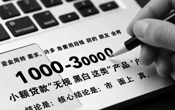 3000的小额贷款无视黑白吗