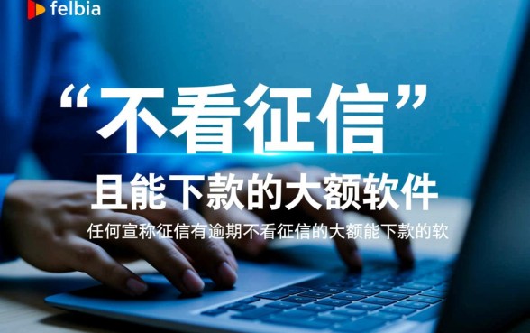 征信有逾期不看征信大额能下款吗