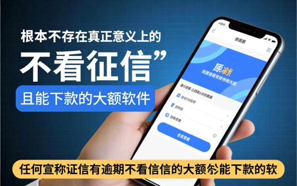 征信有逾期不看征信大额能下款吗