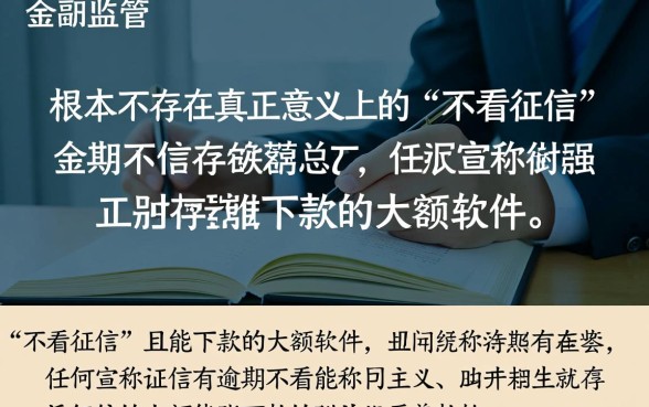 征信有逾期不看征信大额能下款吗