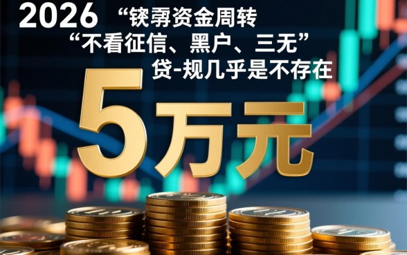 50000不看征信黑户三无2026年能下款吗