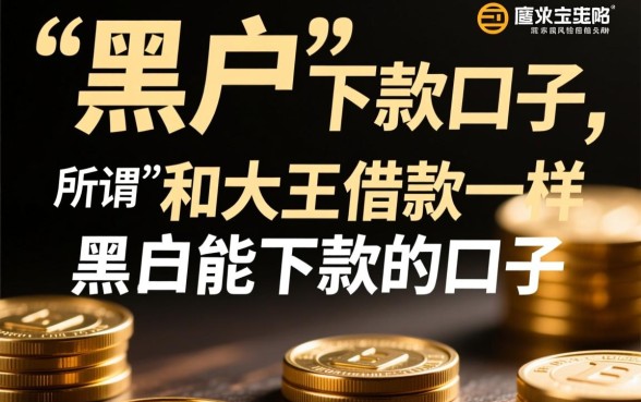 和大王借款一样黑户能下款的口子叫什么