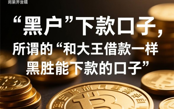 和大王借款一样黑户能下款的口子叫什么