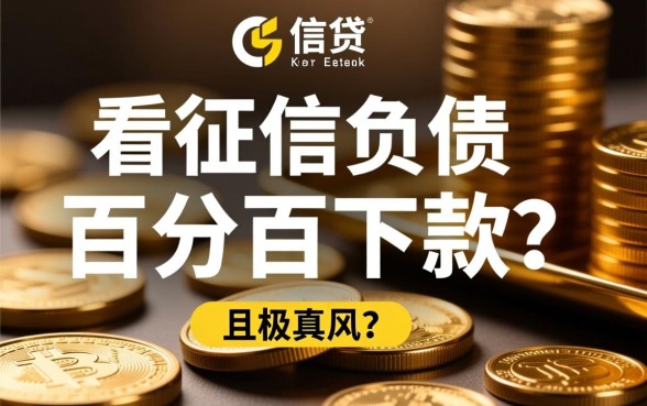 不看征信负债的网贷百分百下款是真的吗