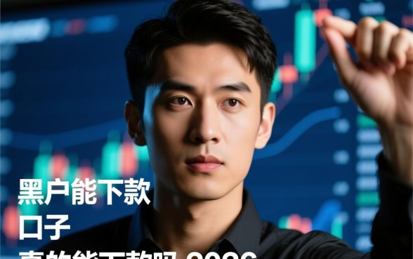 黑户能下款的口子真的能下款吗2026