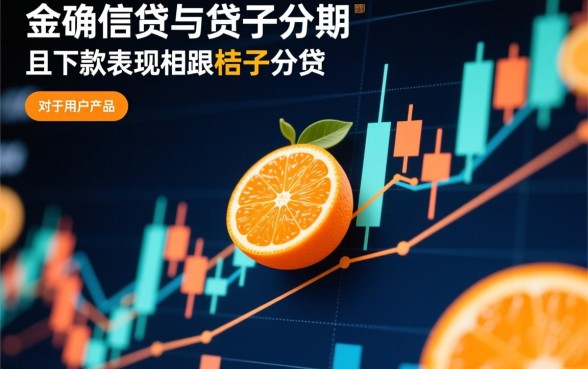 还有没跟桔子分期一样的好下款口子