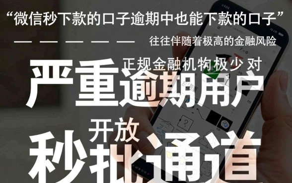 逾期中也能下款的口子在哪里