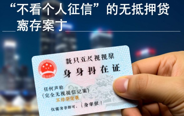 有没有不看个人征信的万无抵押贷款方案