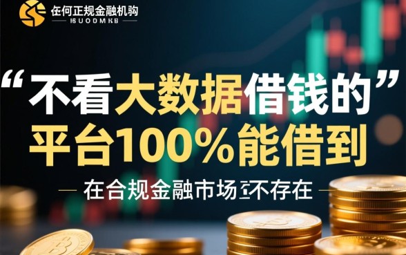 不看大数据借钱平台100