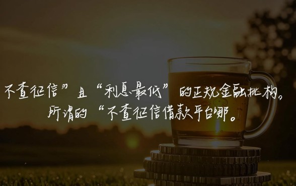 不查征信借款平台有哪些