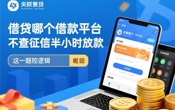 哪个借款平台不查征信半小时放款的呢