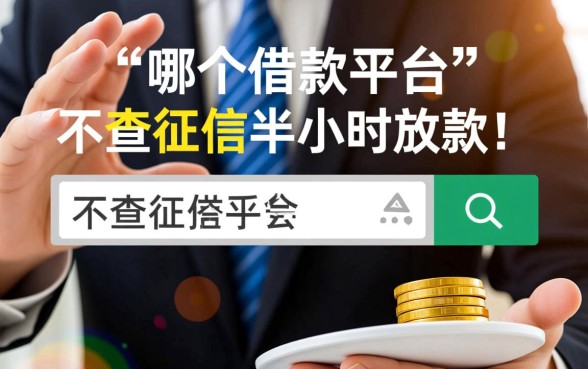 哪个借款平台不查征信半小时放款的呢