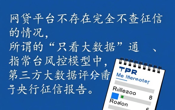只看大数据不查征信的网贷有哪些平台