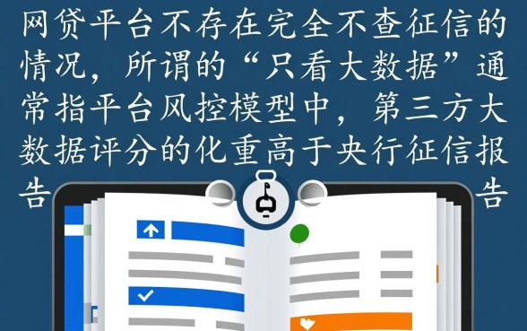 只看大数据不查征信的网贷有哪些平台