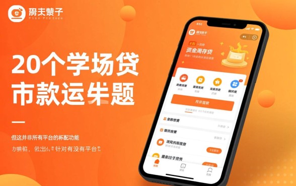 有没有平台借钱可以一年后一次性还款