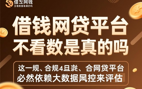 最好借钱的网贷平台不看数据是真的吗