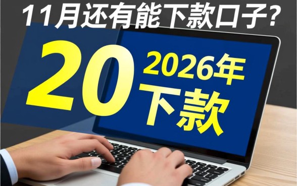 2026年11月还有能下款的口子吗