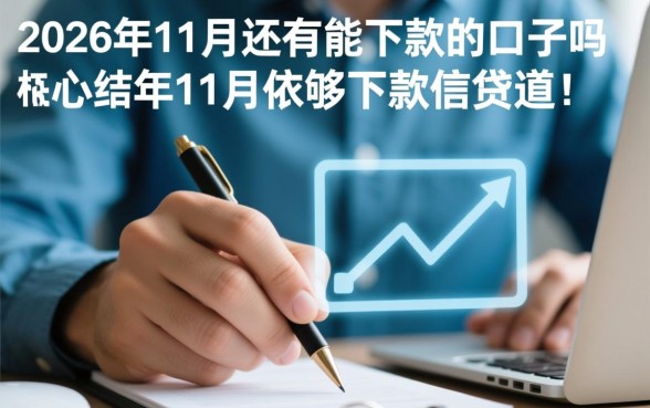 2026年11月还有能下款的口子吗