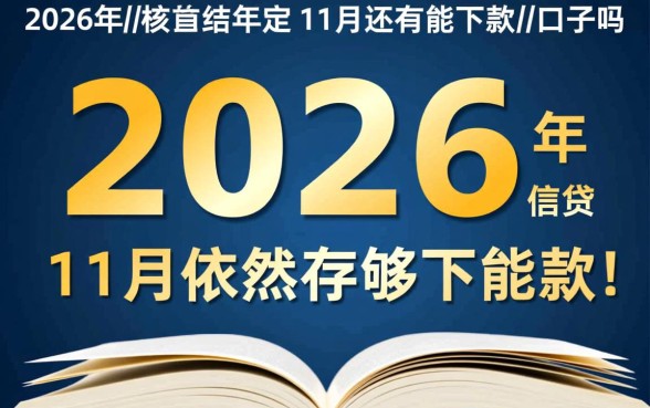 2026年11月还有能下款的口子吗