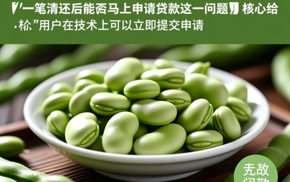 芸豆分一笔清还后能否马上申请贷款