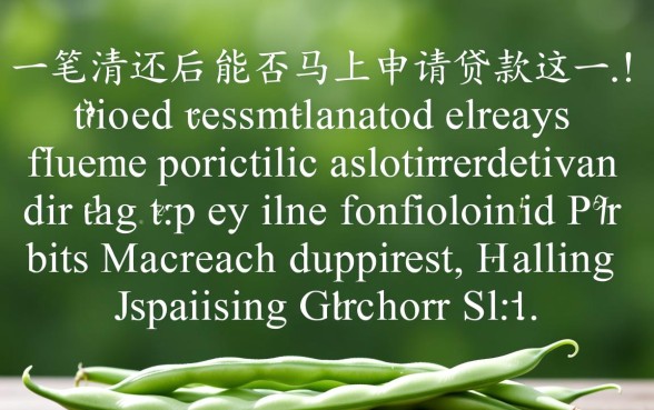 芸豆分一笔清还后能否马上申请贷款