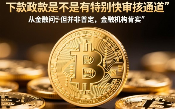 下款放款是不是有特别快的审核通道