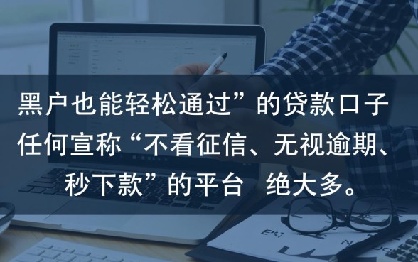 有没有黑户也能轻松通过的贷款口子