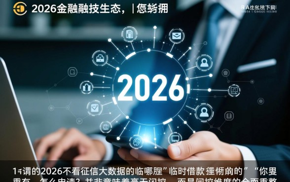2026不看征信大数据的临时借款哪里有