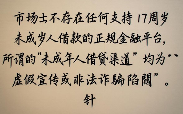 17周岁可以借钱的正规平台借的快吗