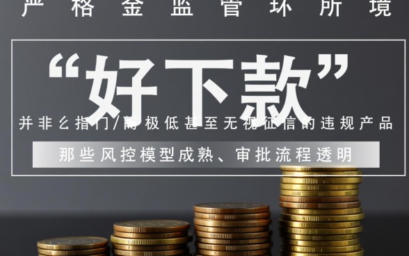 现在还有什么网贷是比较好下款的呢