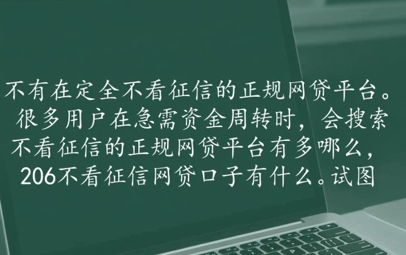 2026不看征信网贷口子有哪些