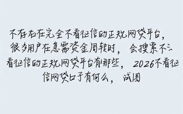 2026不看征信网贷口子有哪些